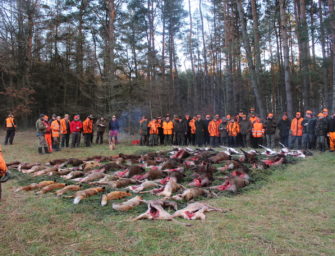 Die Wilddiebe – Sauen satt bei der Drückjagd im Forstgut Reilmann