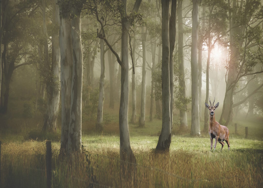 JÄGER Nissan Vortragsabende 2017