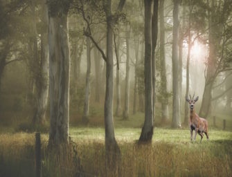 JÄGER Nissan Vortragsabende 2017