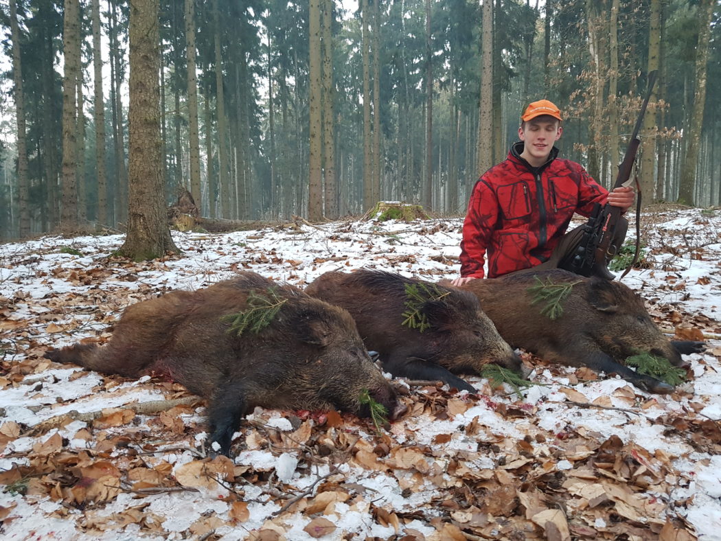 Jagd Jagdtag Jägermagazin Wilddiebe Reilmann Drückjagd Keiler Sauen Fuchs