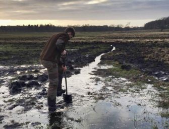 Die Wilddiebe – Revierarbeiten im Frühjahr