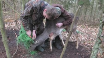 Die Wilddiebe – Damknieper in Not