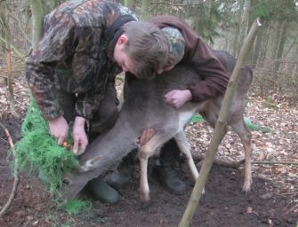 Die Wilddiebe – Damknieper in Not