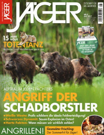 Angriff der Schadborstler