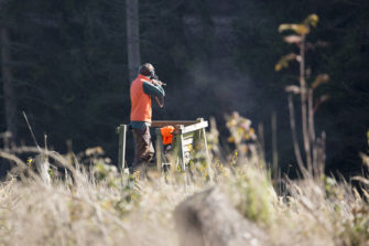 Liegt uns der Jagderfolg in den Genen?