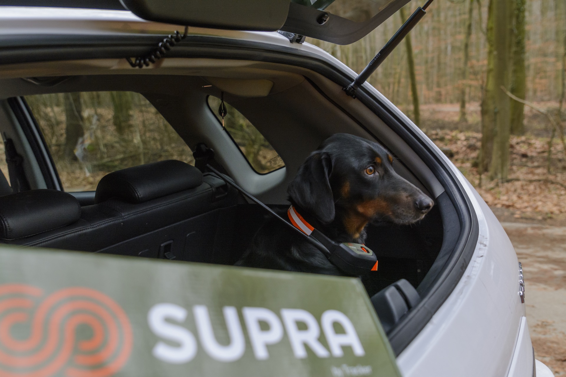 GPS Hundeortung - Der Tracker Supra im Praxistest