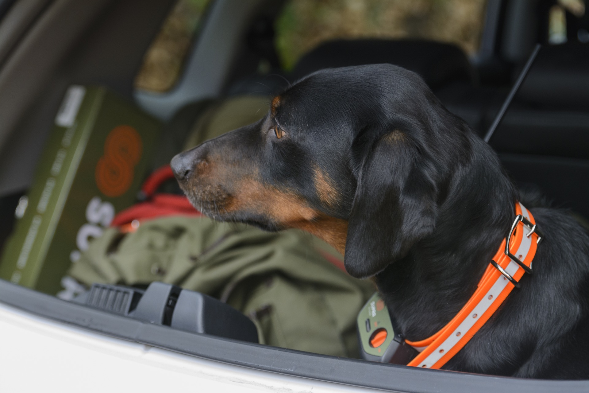 GPS Hundeortung - Der Tracker Supra im Praxistest