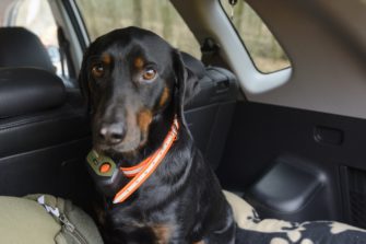GPS Hundeortung – Der Tracker Supra im Praxistest