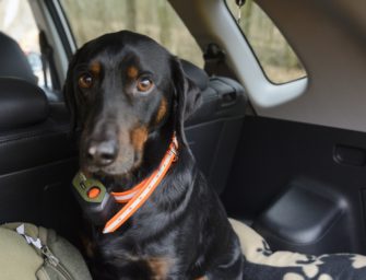GPS Hundeortung – Der Tracker Supra im Praxistest