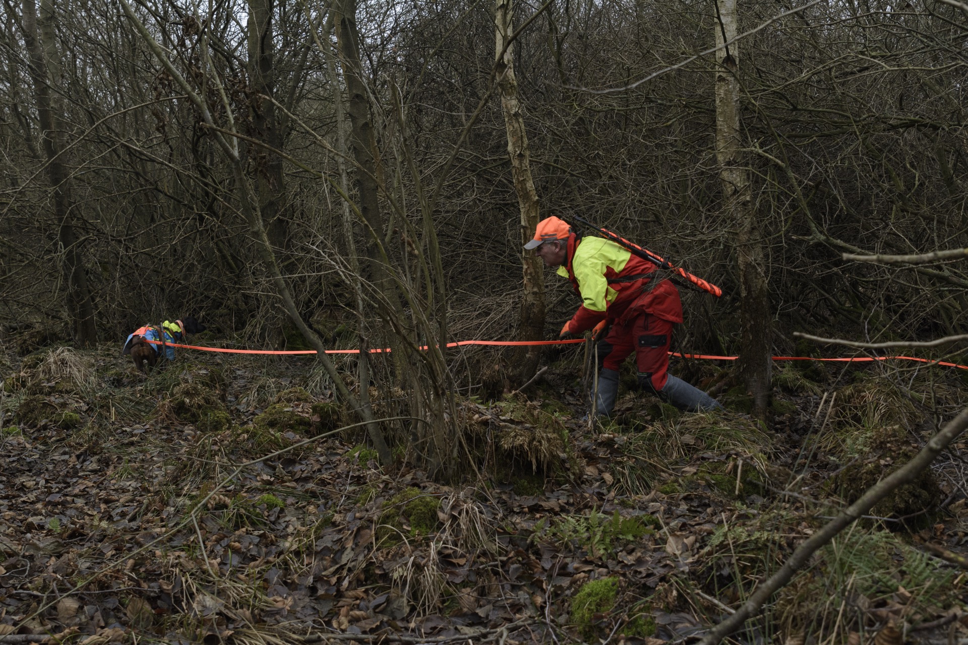 GPS Hundeortung - Der Tracker Supra im Praxistest