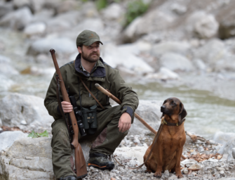 Alter Hund, was tun?