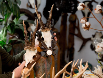 Kapitale Rehböcke – 10 Fakten für den Jäger