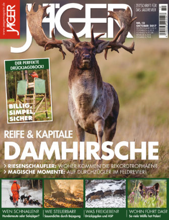 Reife & Kapitale Damhirsche