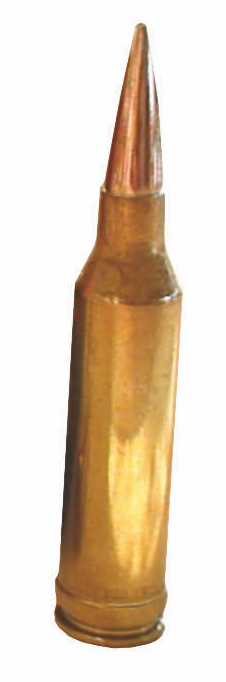 Hochwildtaugliche Kaliber Patrone 6,5mm Jagdmunition Munition 6,5 Remington Magnus 6,5x55