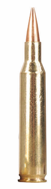 Hochwildtaugliche Kaliber Patrone 6,5mm Jagdmunition Munition .257 Roberts 6,5x57