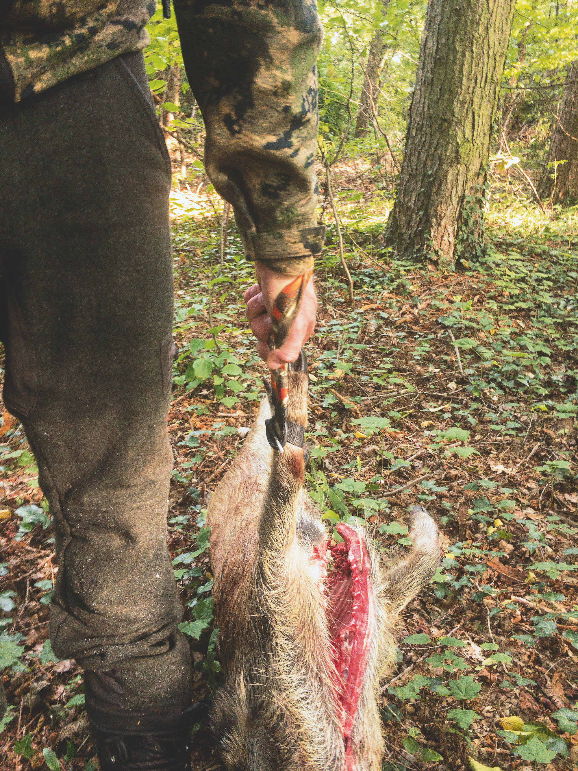 Sauenhammer Prämie JÄGER Magazin Jagd Jagen 