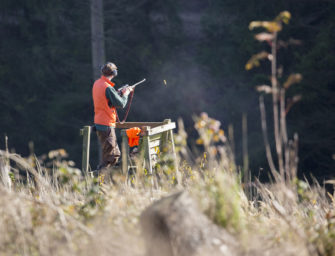 20 hochwildtaugliche Kaliber für die Jagd