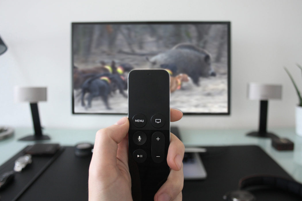 JÄGER Prime Gewinnspiel Video FullHD Jagdvideo Jagdfilm