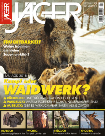 Saujagd 2018