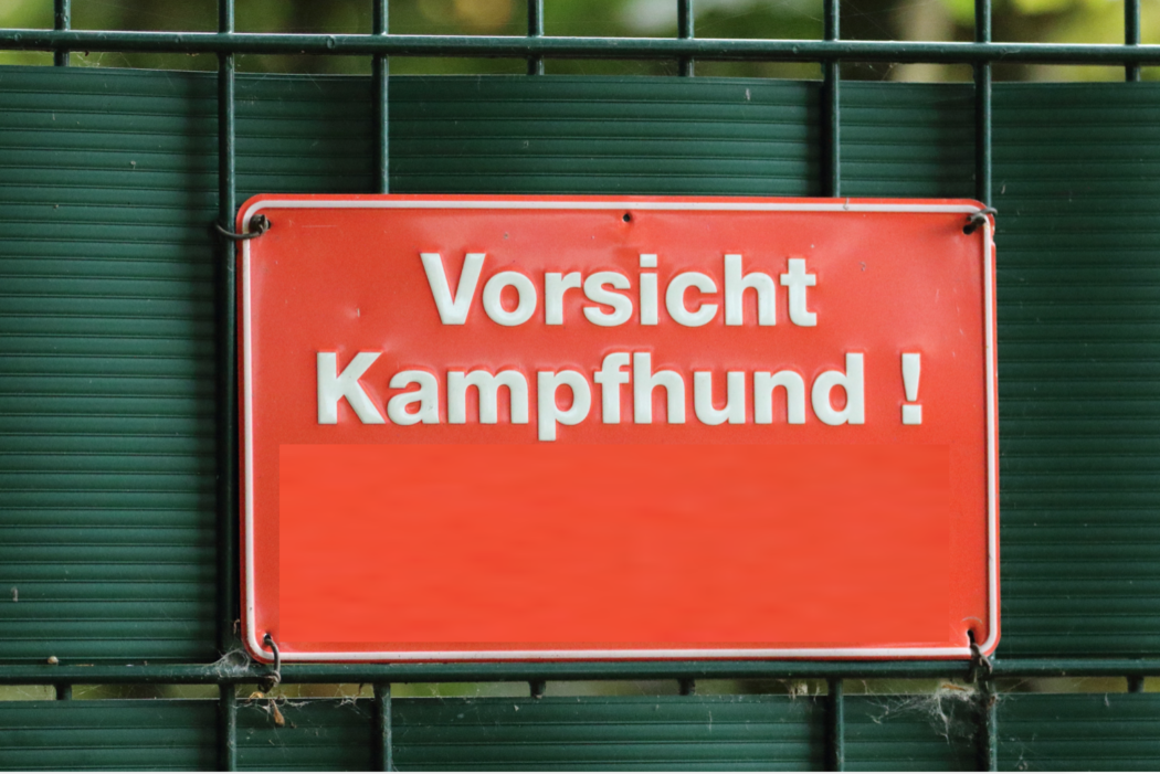 Kampfhund chico Hannover