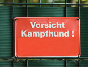 Lasst Chico schlafen!