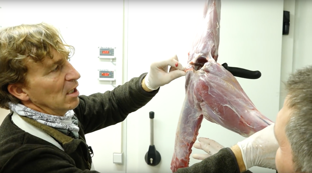 Rehwild aus der Decke schlagen und zerwirken in 4 einfachen Schritten