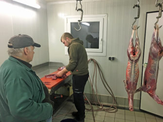 Rehwild aus der Decke schlagen und zerwirken