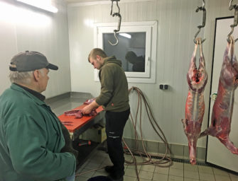 Rehwild aus der Decke schlagen und zerwirken
