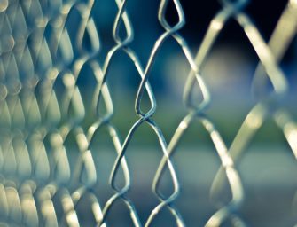 Bulgarien baut Schutzzaun gegen ASP