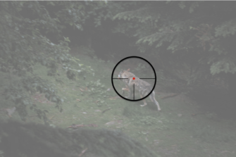 Illegale Wolfstötungen und ihre Folgen