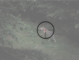 Illegale Wolfstötungen und ihre Folgen