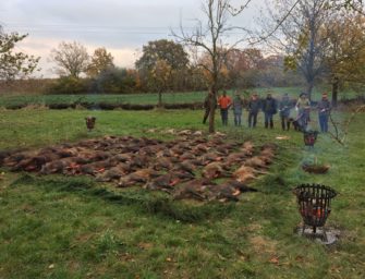 Deutsche Jäger erlegen über 820.000 Wildschweine