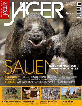 Das Jahr nach der Jahrhundertstrecke