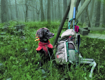 Hunde GPS Tracker im Einsatz – Was leisten unsere Hunde wirklich?