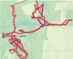 Wie arbeiten Hunde im Treiben? Wie Arbeiten die unterschiedlichen Hunderassen? Hunde GPS Tracker liefern eine faktenbasierte Antwort!