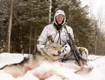 Landnutzer fordern Wolfsjagd