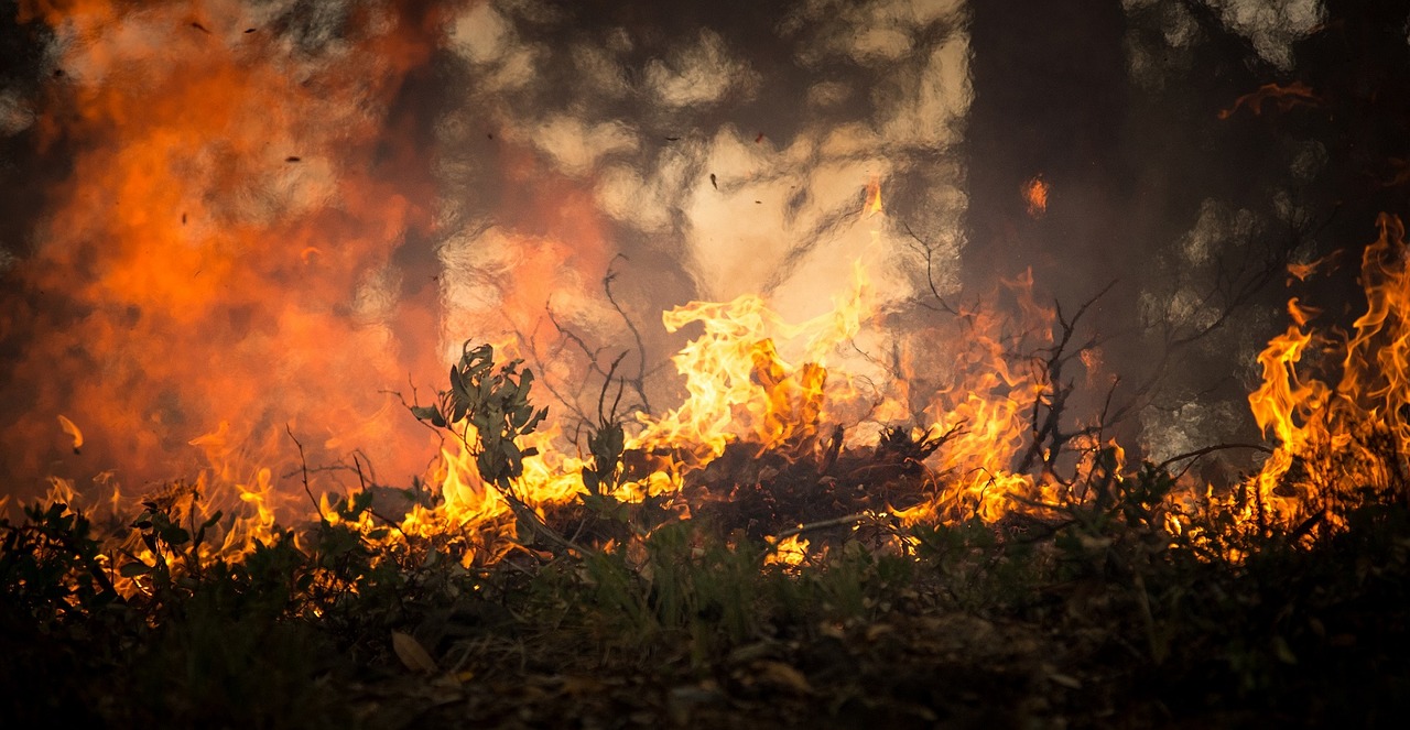 Es ist heiß in Deutschland, zu heiß für unsere Wälder. Jetzt warnt der Verband der Waldeigentümer: Ein Waldbrand kann bei diesem Wetter schnell ausbrechen.