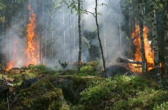 Deutschland droht der Waldbrand
