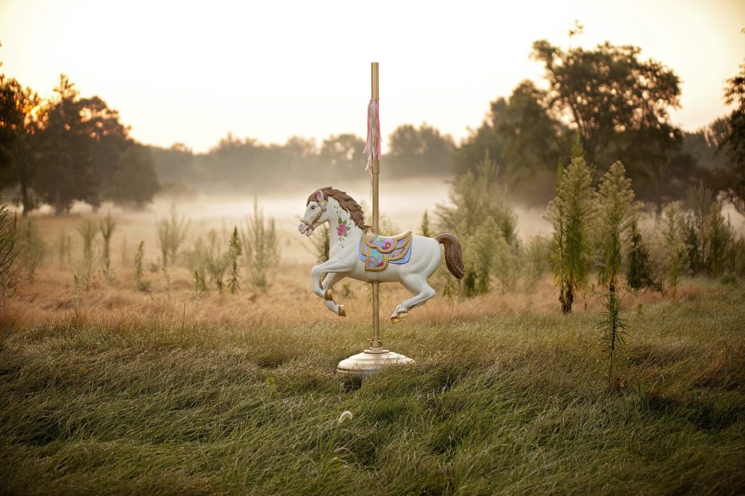 horse-1489825_1920