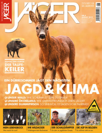 Jagd und Klima