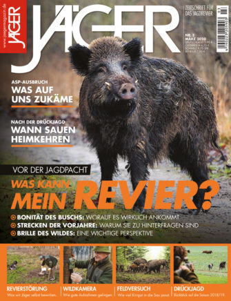 Was kann mein Revier?