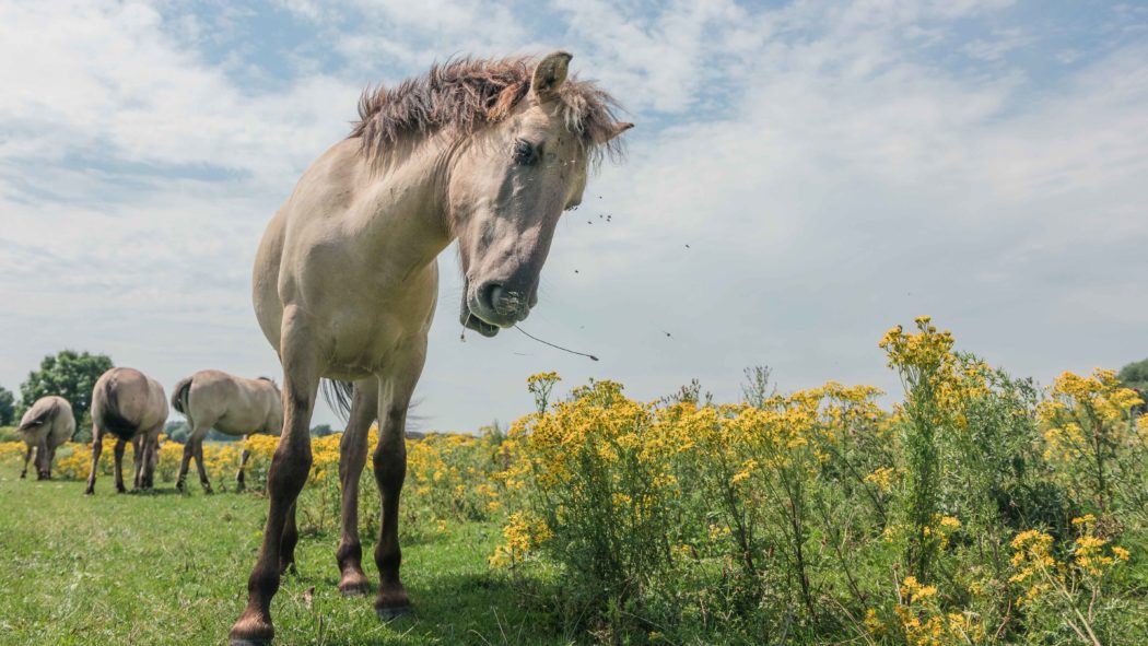 danny-wage-TONtTNayHqY-unsplash