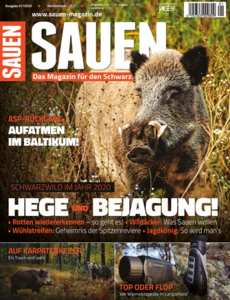 Sauen: Hege und Bejagung!