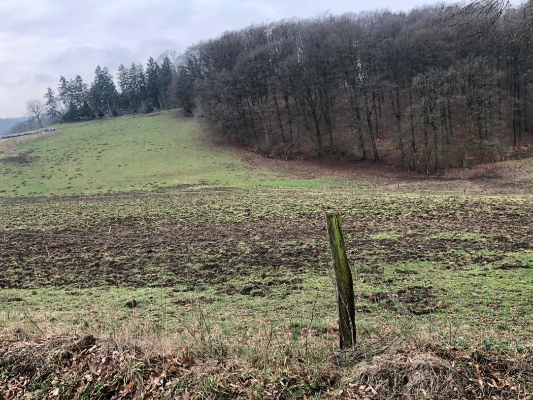 ca1b3435-b586-43b6-aec4-9449501e19bc