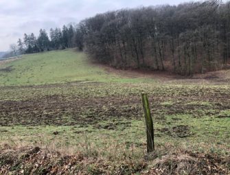 Das Live-Webinar zum Wildschaden