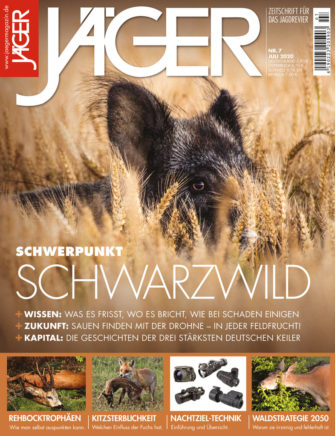 Schwerpunkt Schwarzwild