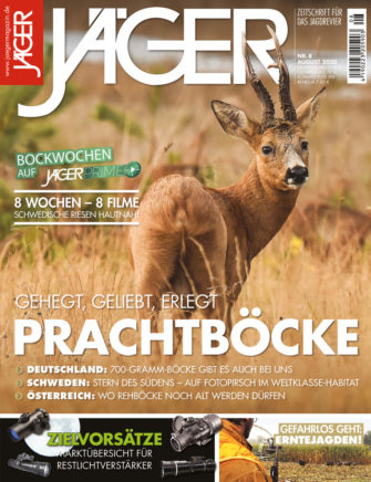 Prachtböcke: gehegt, geliebt, erlegt