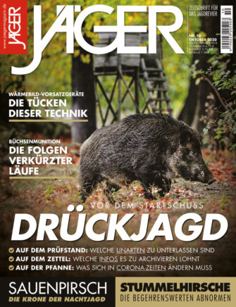 Startschuss Drückjagd