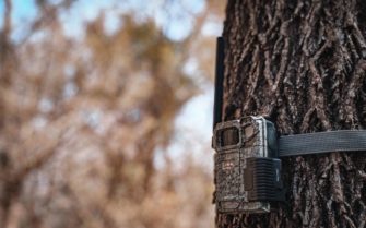 Klein und fein – die LINK-MICRO-LTE