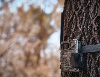 Klein und fein – die LINK-MICRO-LTE